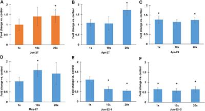 Characterizing the Chemical Contaminants Diversity and Toxic Potential of Untreated Wastewater From a Drug Rehabilitation Hospital: Understanding Impact on Downstream Environment